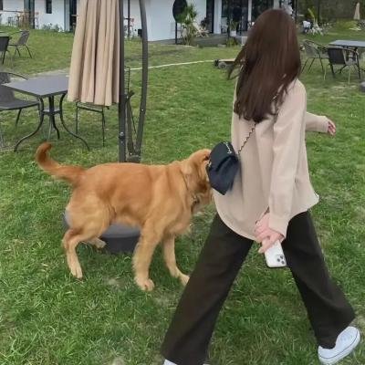 生活是条静静的河流